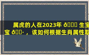 属虎的人在2023年 🍀 生宝宝 🕷 ，该如何根据生肖属性取名字